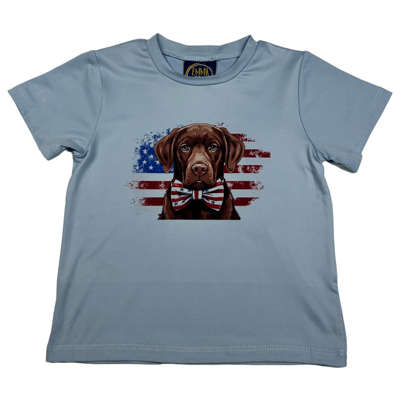 BOYS AMERIVAN LAB TEE